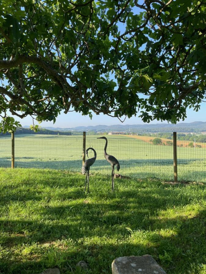 Mas Feliu Turismo Rural Allotjament i esmorzar
