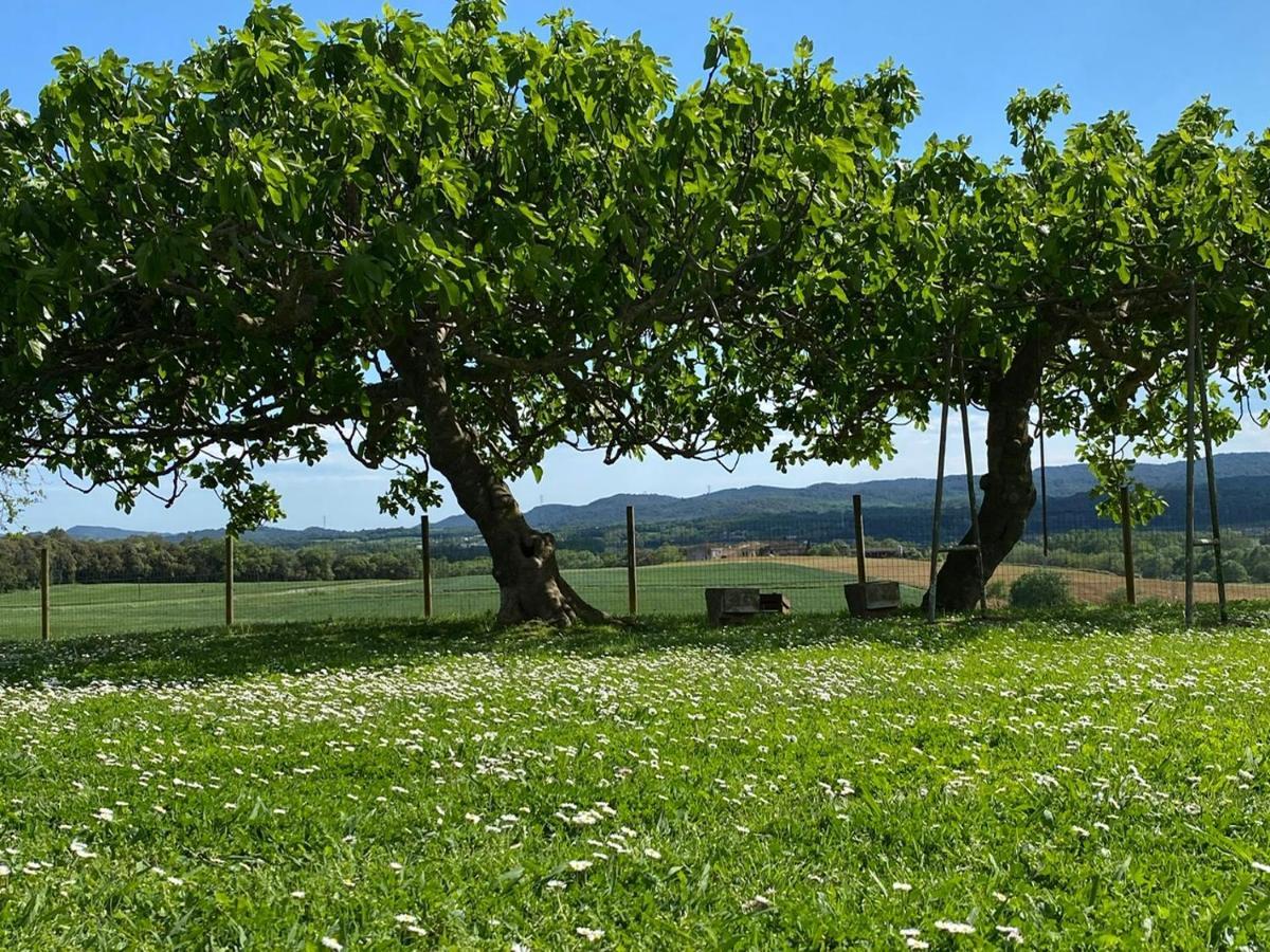 Allotjament i esmorzar Mas Feliu Turismo Rural