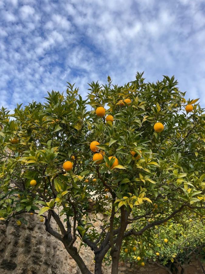 Allotjament i esmorzar Mas Feliu Turismo Rural *