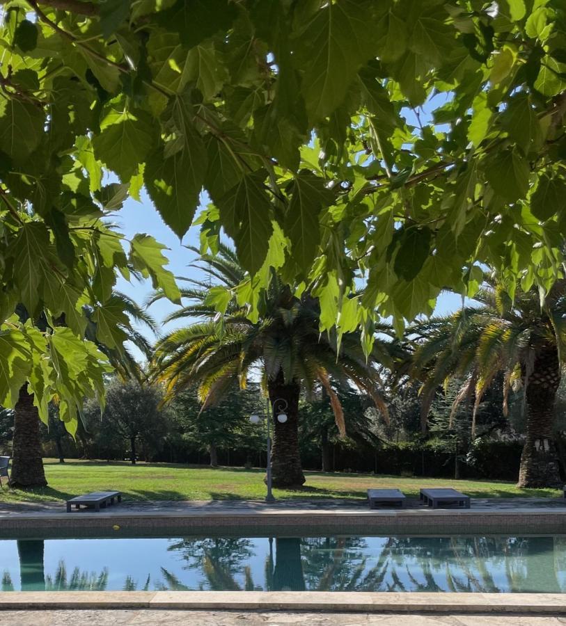 Bed and breakfast Mas Feliu